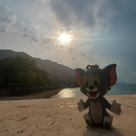 בית הארחה R&r Gesthouse Široka